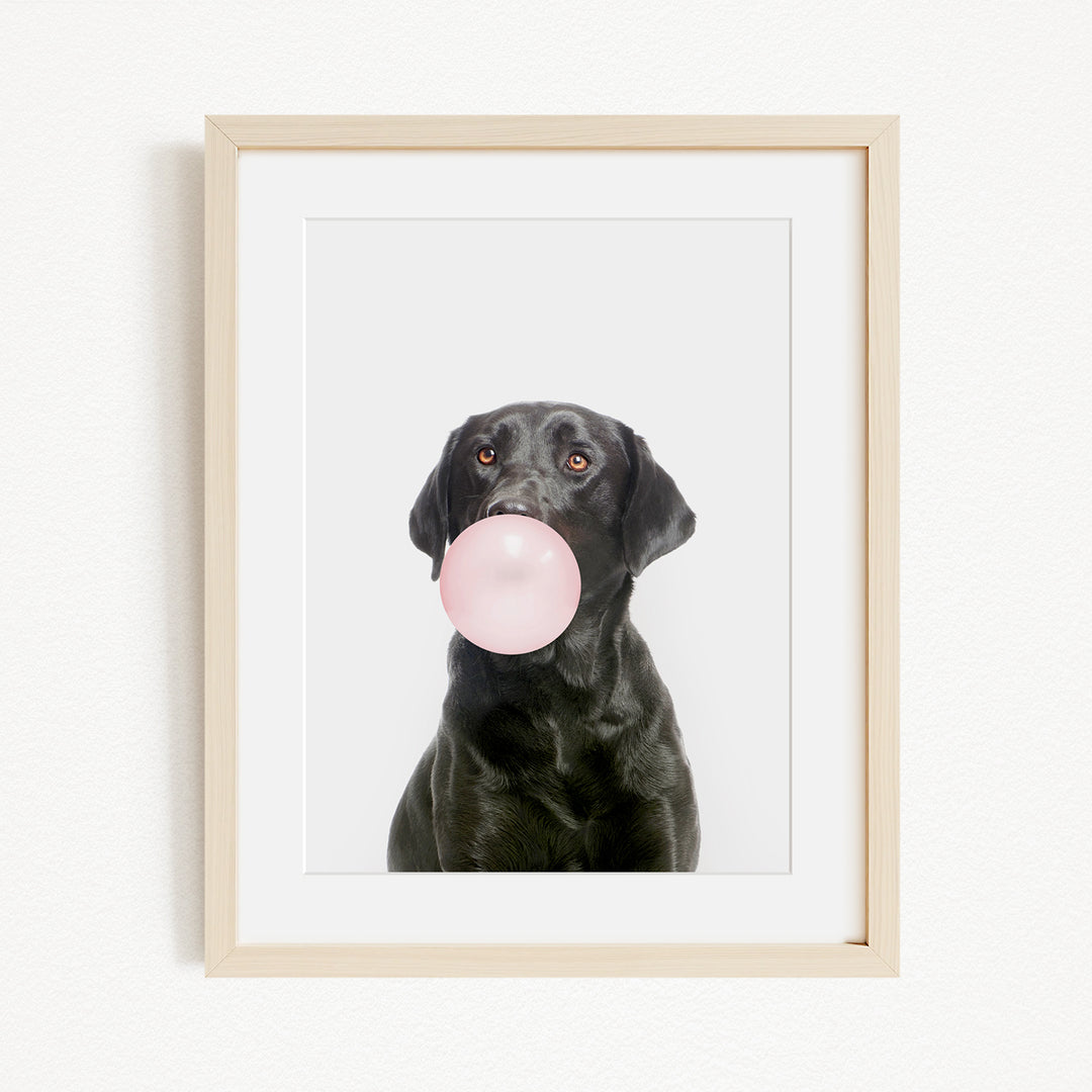 A black dog is blowing a pink bubble with its mouth, creating a playful and whimsical scene.