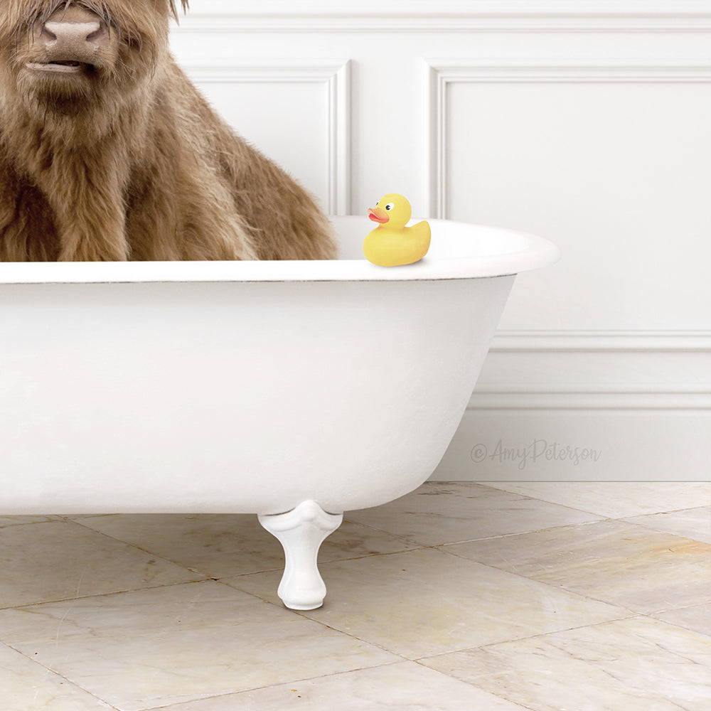 A brown cow is sitting in a white bathtub, with a yellow rubber duck on the edge of the tub.