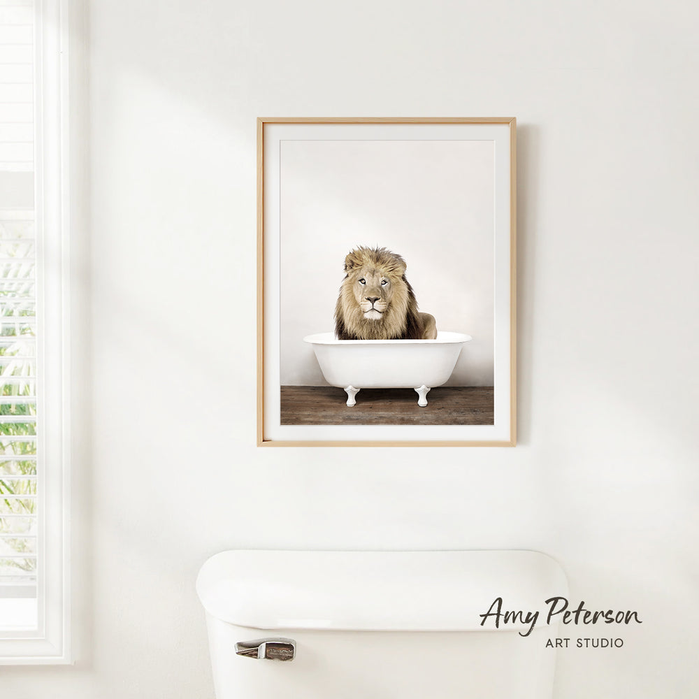 A framed image of a lion sitting in a white bathtub is hanging on a white wall.