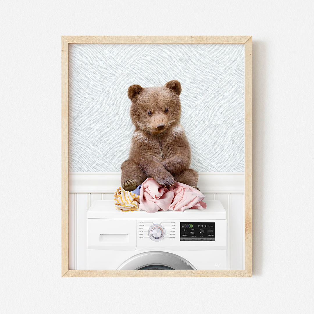 a brown bear sitting on top of a washing machine