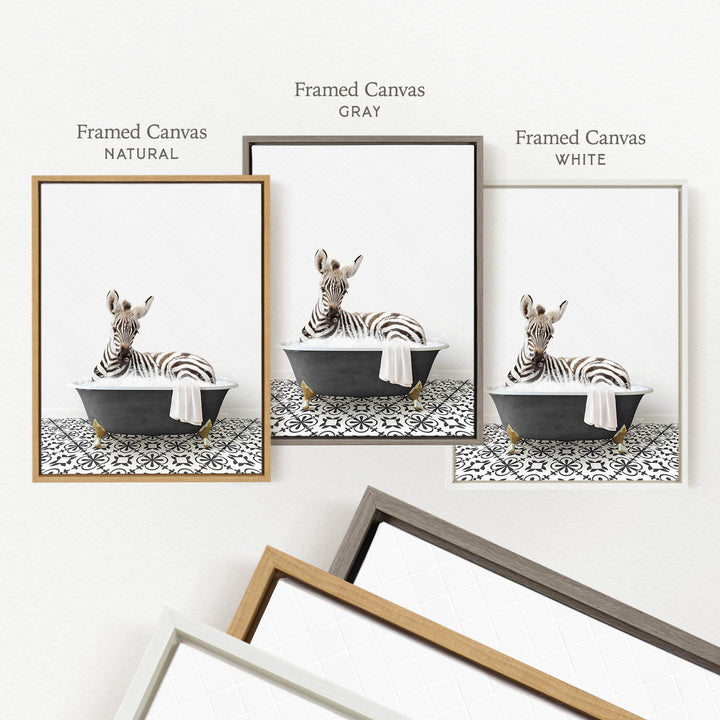 three framed prints of a zebra sitting in a bathtub, each with a different frame color: natural, gray, and white.