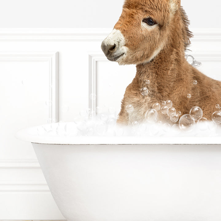 a baby donkey sitting in a bathtub filled with bubbles