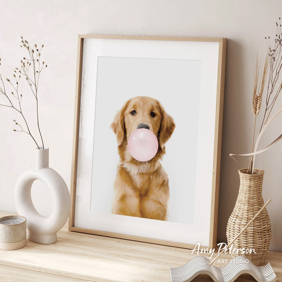 A golden retriever dog is sitting in front of a white picture frame, blowing a bubble with a pink bubble gum bubble. The dog is surrounded by decorative elements, including a white vase and a woven basket.