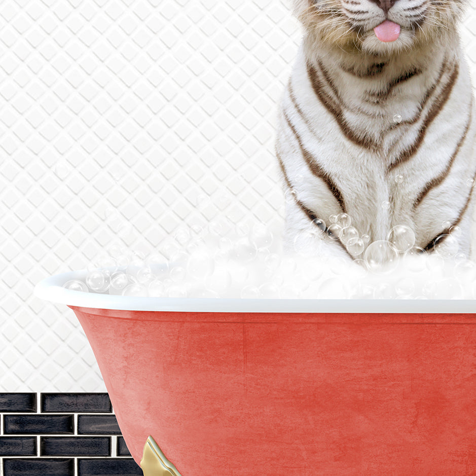 a tiger sitting in a bathtub with its tongue out