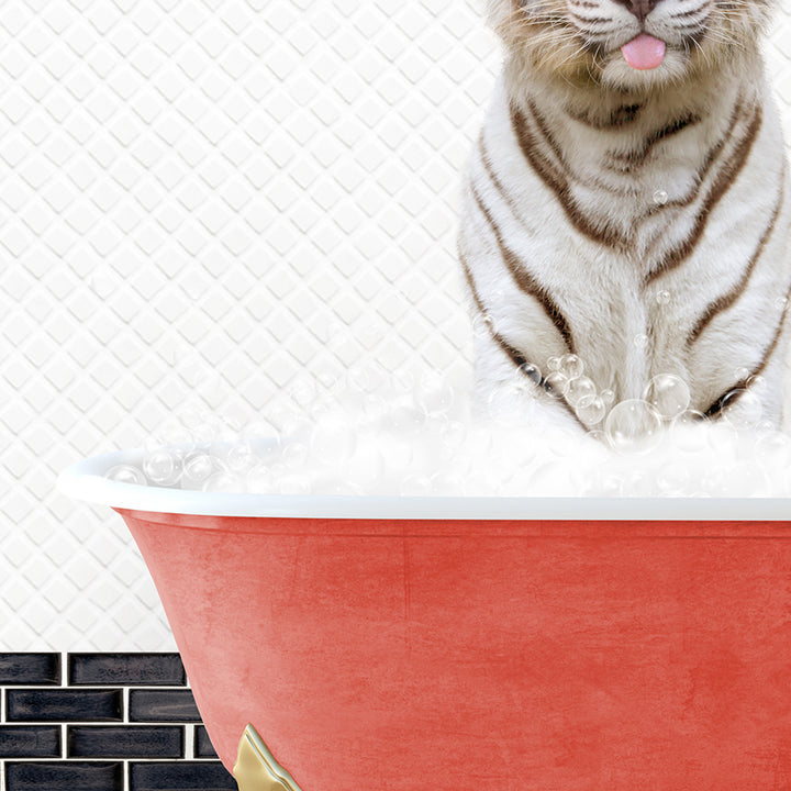 a tiger sitting in a bathtub with its tongue out