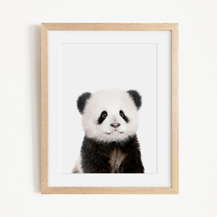 A panda bear with black and white fur is the focus of the framed image.