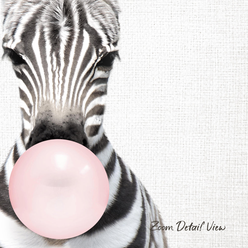 A close-up of a zebra blowing a bubble with a pink bubble gum bubble.