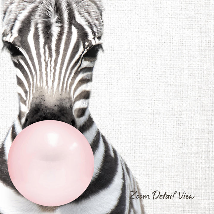 A close-up of a zebra blowing a bubble with a pink bubble gum bubble.