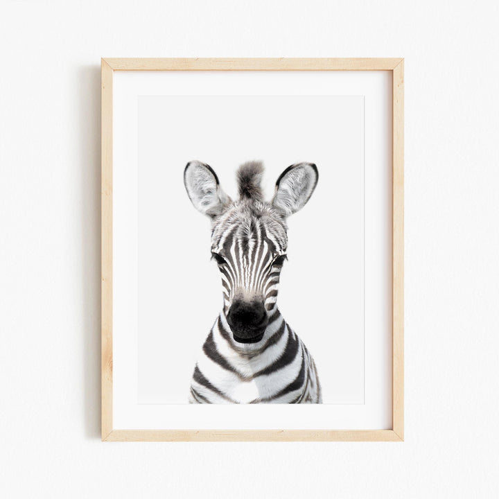 a picture of a zebra is hanging on a wall