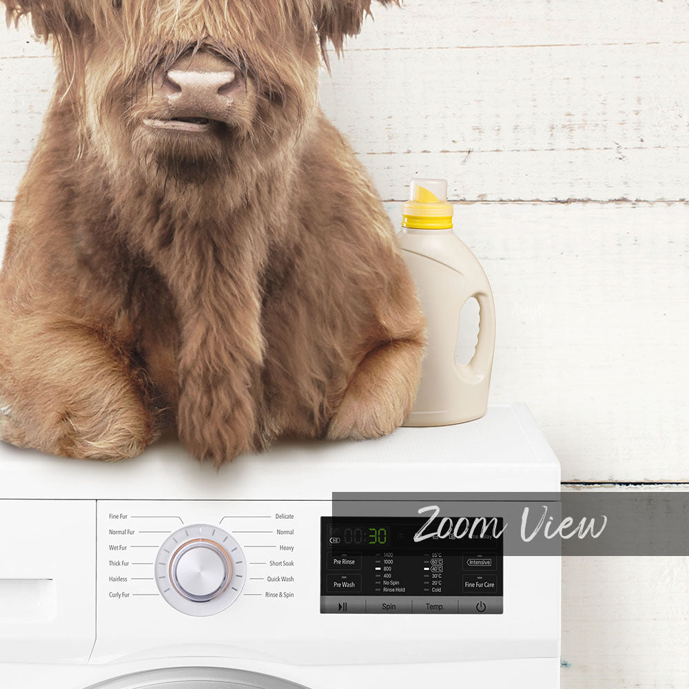 A large brown dog sitting on top of a white washing machine with a bottle of detergent next to it.