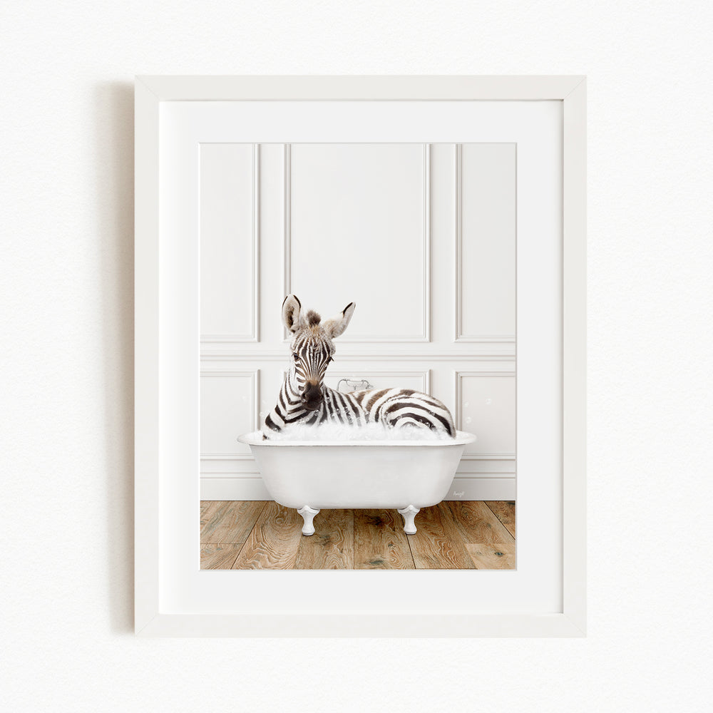 A zebra is sitting in a white bathtub, surrounded by a white wall and wooden floor.