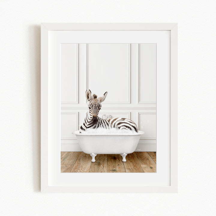 A zebra is sitting in a white bathtub, surrounded by a white wall and wooden floor.