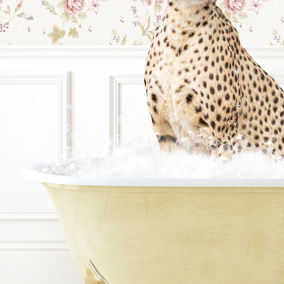 a cheetah sitting on top of a bath tub