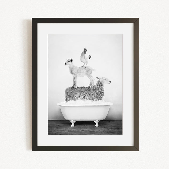 A black and white image of three animals - a goat, a chicken, and a sheep - standing on top of a white bathtub filled with water.