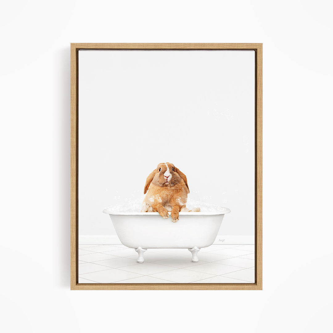 A brown rabbit sitting in a white bathtub filled with bubbles, looking directly at the camera.