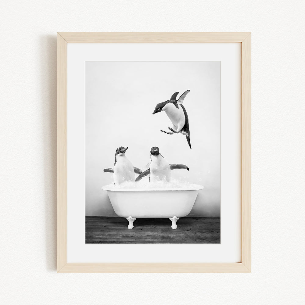 A black and white photograph of three penguins in a bathtub, with one penguin flying towards the others.