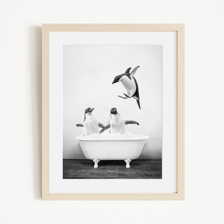 A black and white photograph of three penguins in a bathtub, with one penguin flying towards the others.
