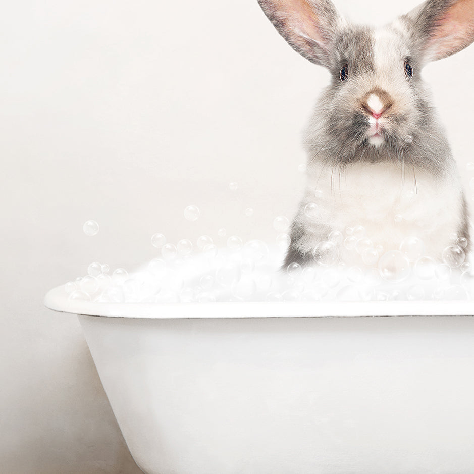 a rabbit sitting in a bathtub full of bubbles