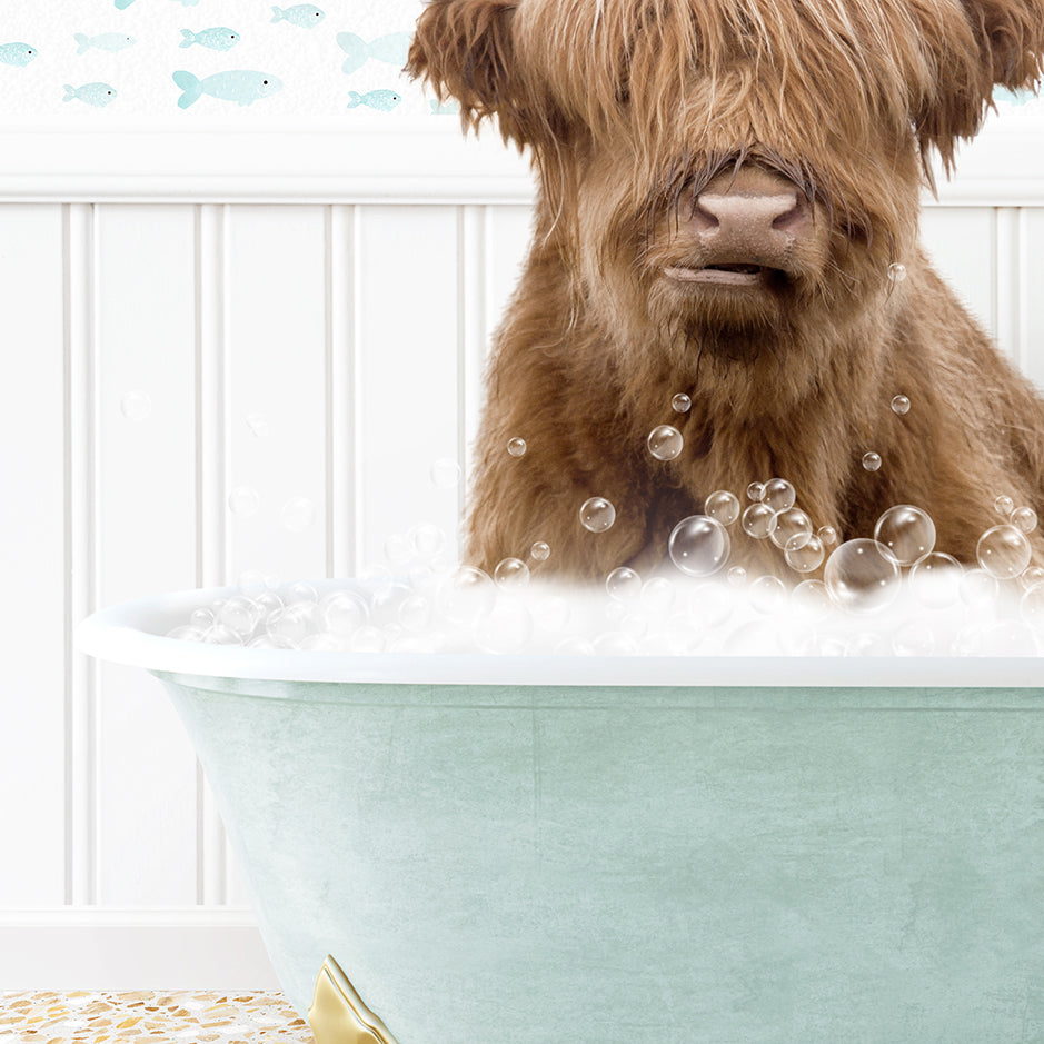 a shaggy dog sitting in a bathtub filled with bubbles