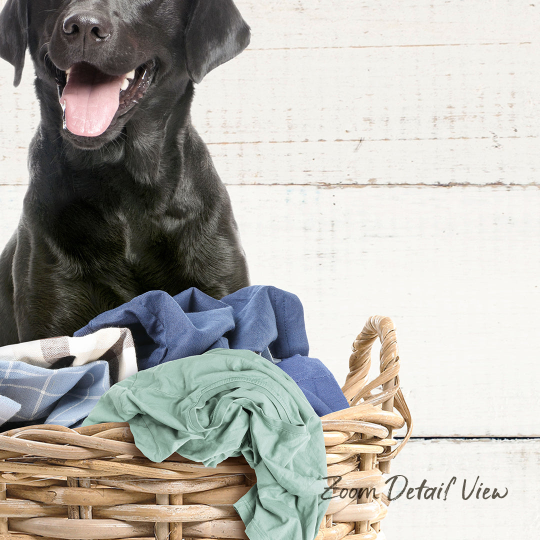 A black dog sitting in a wicker basket filled with clothes, with a white wooden wall in the background.