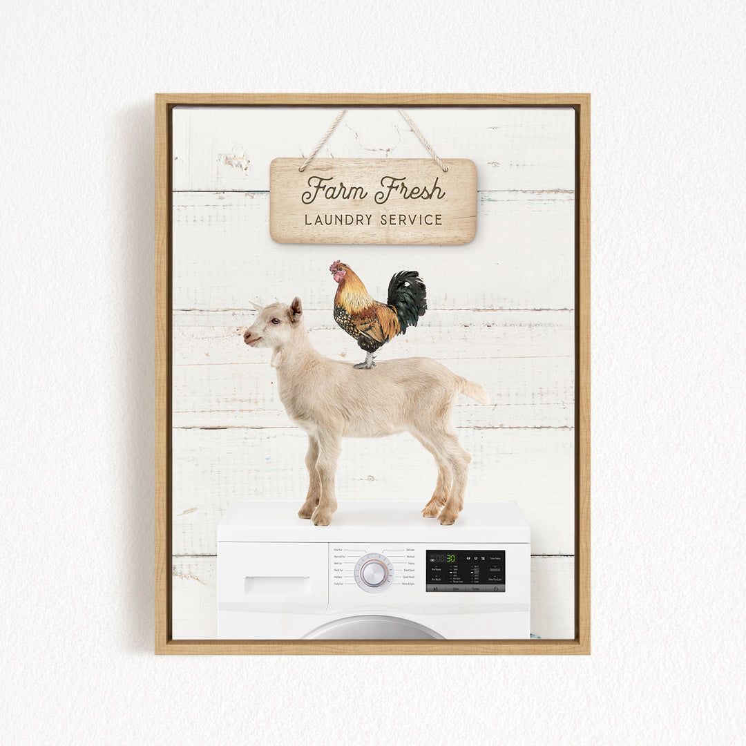 a goat standing on top of a washing machine, with a rooster perched on its back. The scene is set against a white background, and there is a sign that reads "Farm Fresh Laundry Service" above the washing machine.