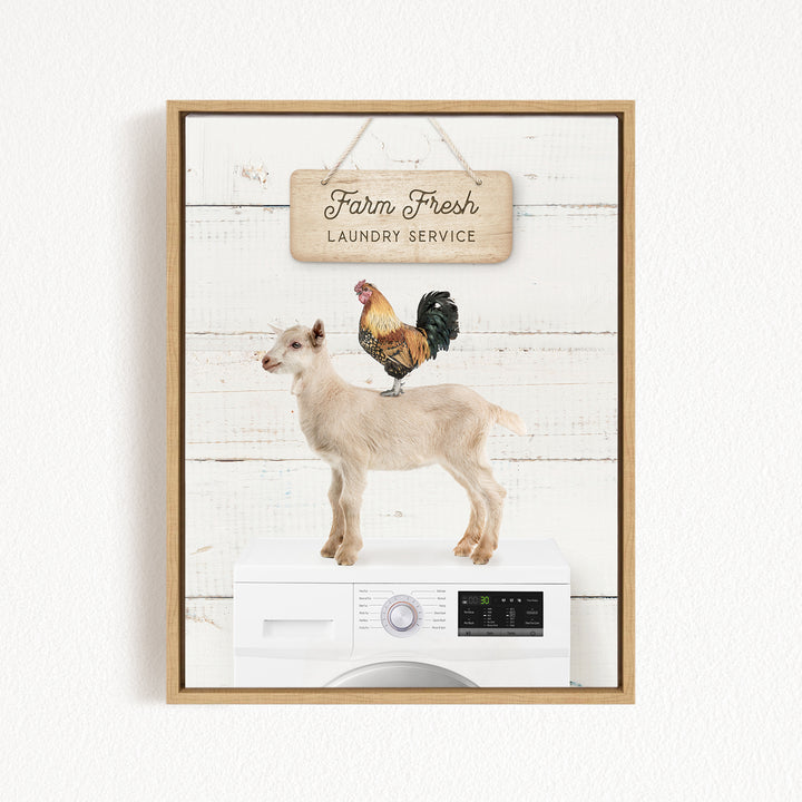 a goat standing on top of a washing machine, with a rooster perched on its back. The scene is set against a white background, and there is a sign that reads "Farm Fresh Laundry Service" above the washing machine.