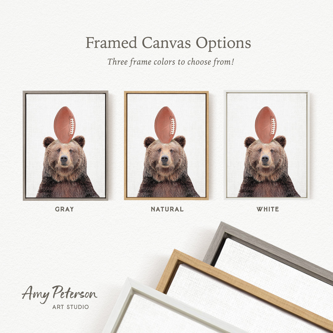 three framed canvas options featuring a bear holding a football on its head. The bear is shown in different color schemes, including gray, natural, and white.