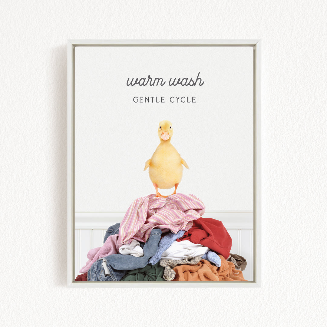 A yellow duck standing on a pile of clothes, with the text "Warm wash Gentle Cycle" above the image.
