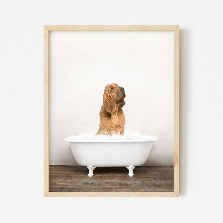 a dog sitting in a bathtub with foam in it