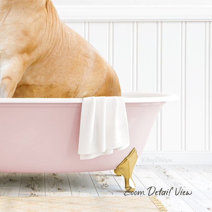 A tan dog is sitting in a pink bathtub, with a white towel hanging on the side and a gold bathtub faucet visible.
