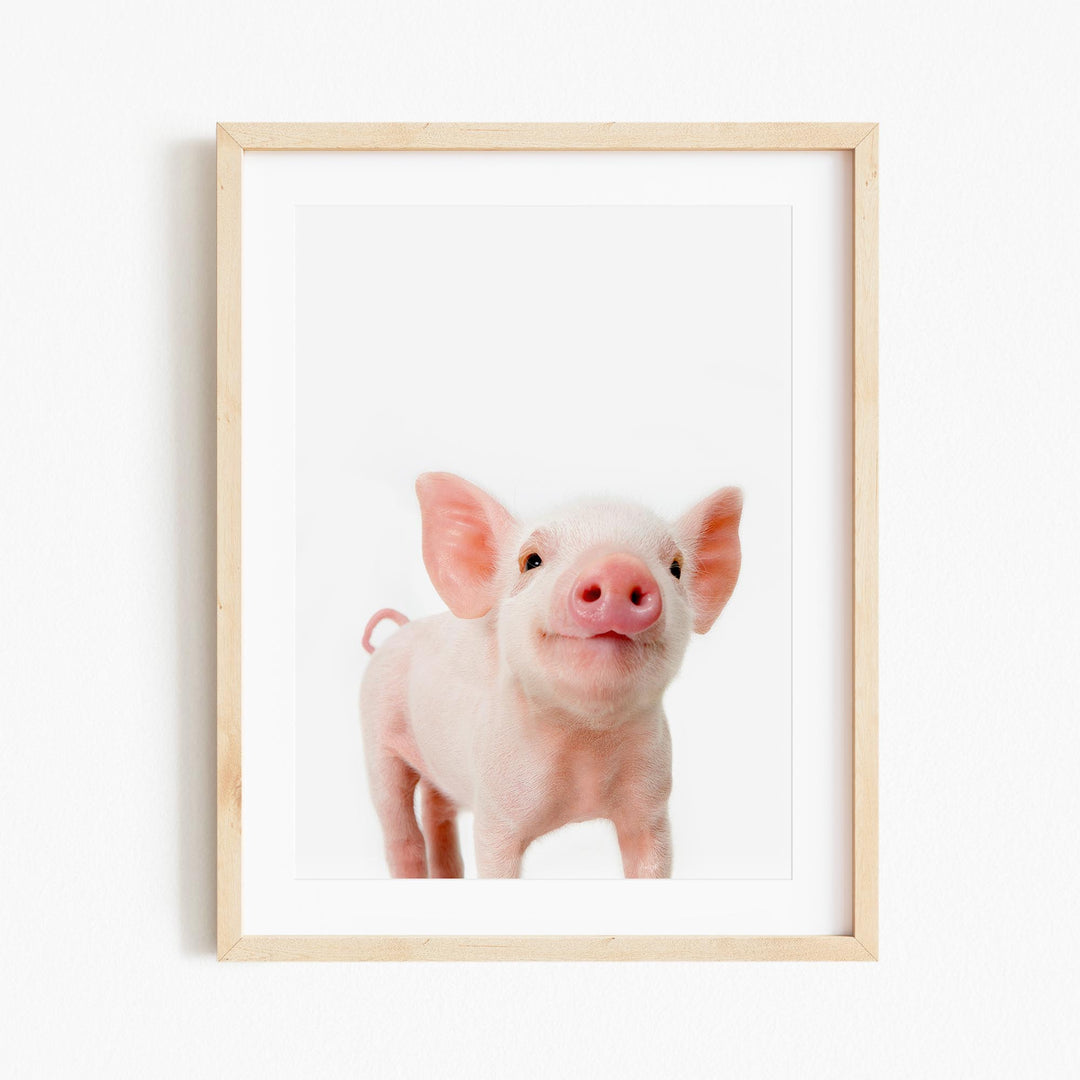 a picture of a small pig in a wooden frame