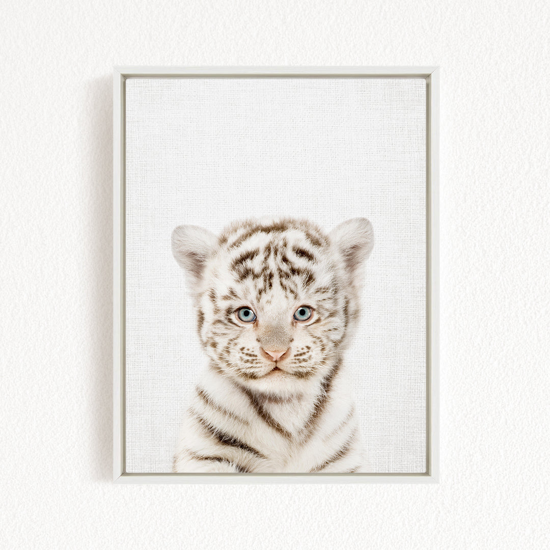A young tiger cub with striking blue eyes and a playful expression is the focal point of the framed image.