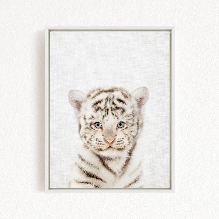 A young tiger cub with striking blue eyes and a playful expression is the focal point of the framed image.