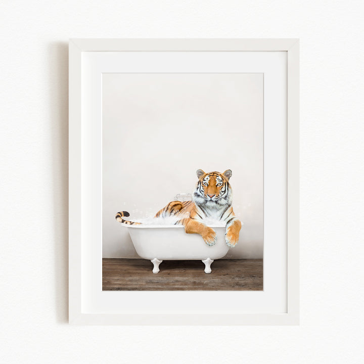 A tiger is sitting in a white bathtub filled with water, appearing relaxed and enjoying the bath.