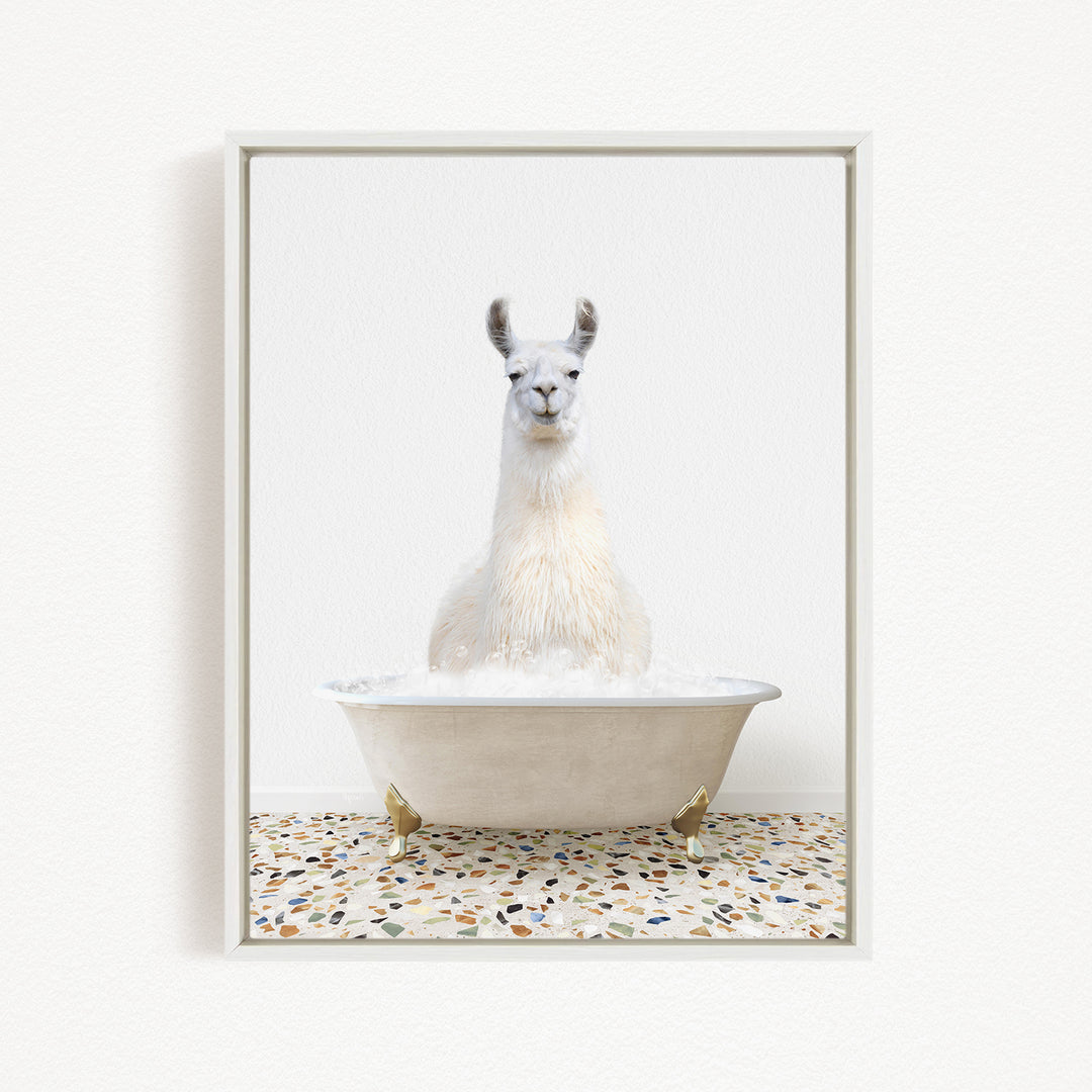 A white llama sitting in a white bathtub filled with water, creating a whimsical and playful scene.