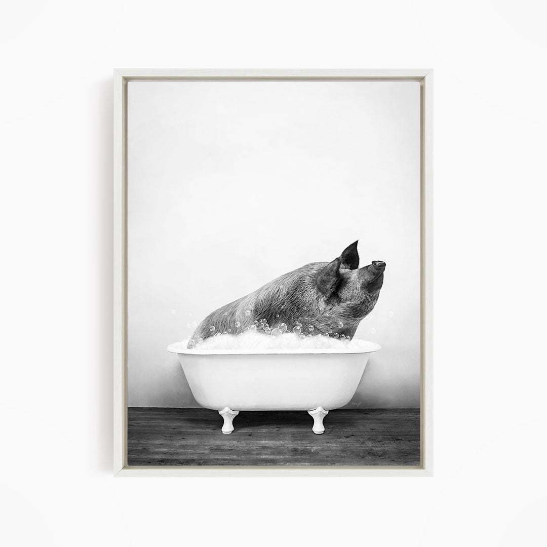A black and white photograph of a pig sitting in a bathtub filled with water, with its head raised and eyes open.