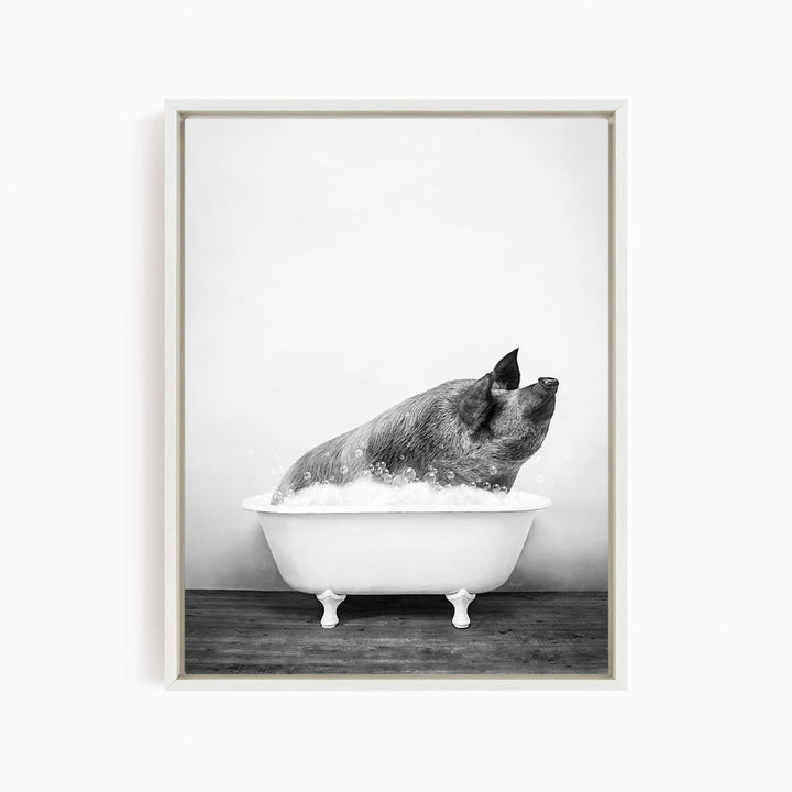 A black and white photograph of a pig sitting in a bathtub filled with water, with its head raised and eyes open.
