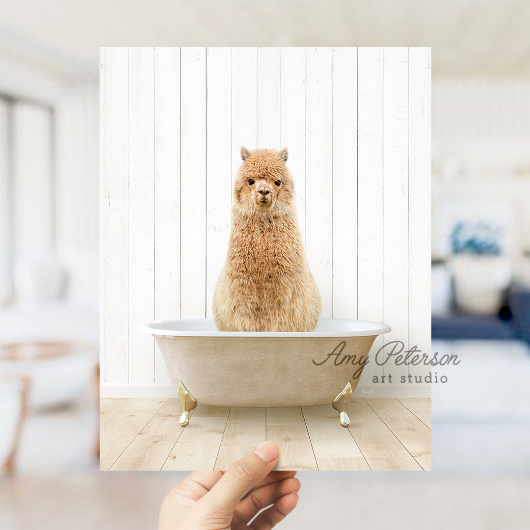 a hand holding a photo of a dog in a bathtub