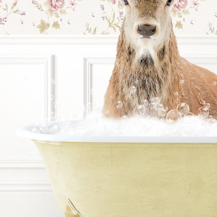 a deer is sitting in a bathtub with bubbles