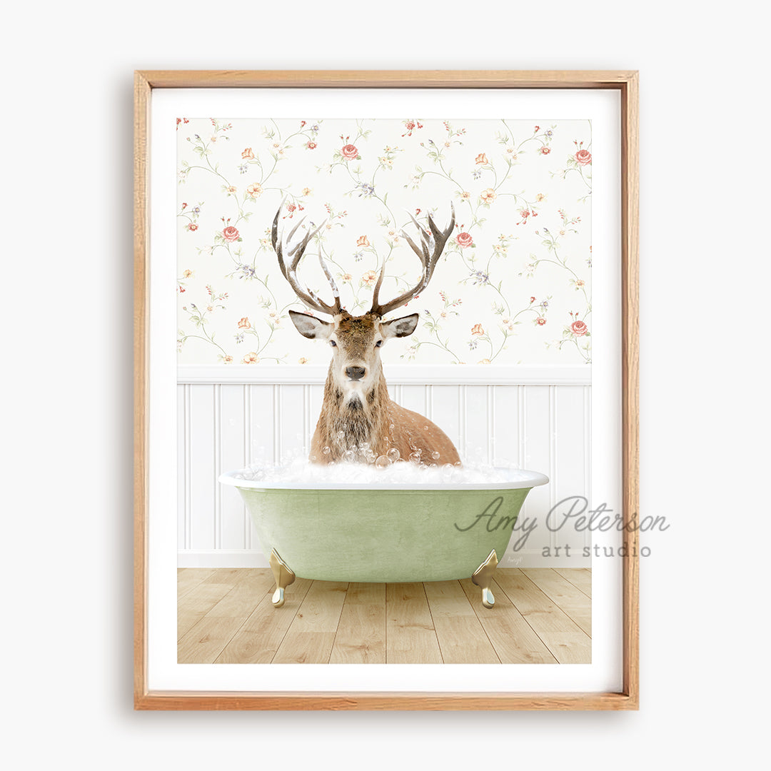 a picture of a deer sitting in a bathtub