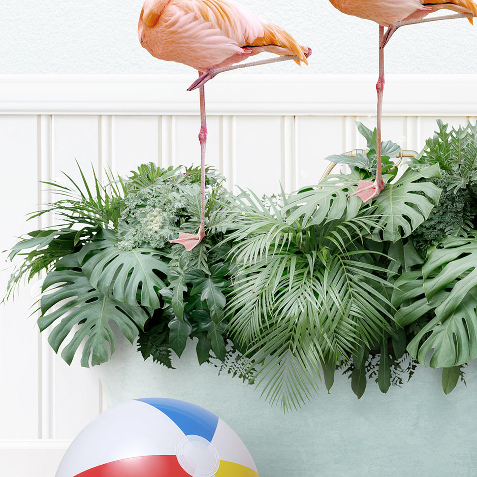 two flamingos standing on top of a potted plant next to a beach ball