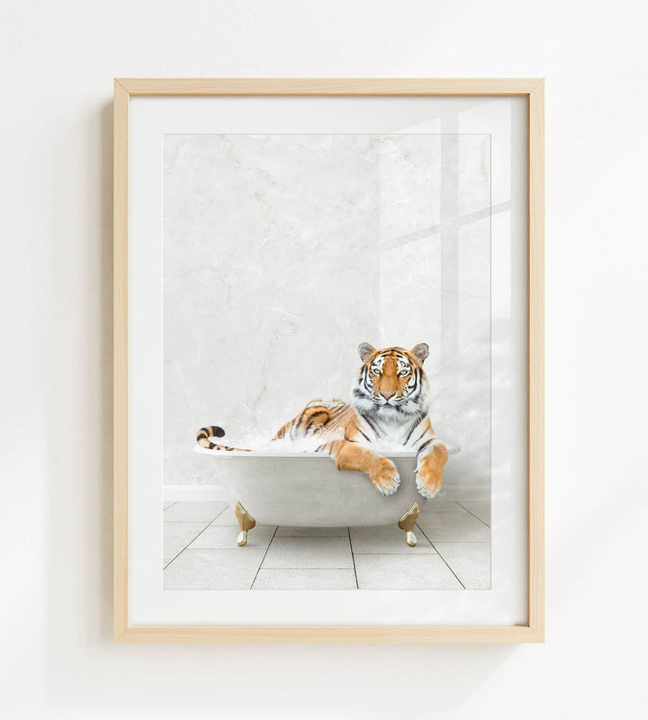 A tiger is sitting in a bathtub, appearing relaxed and comfortable.