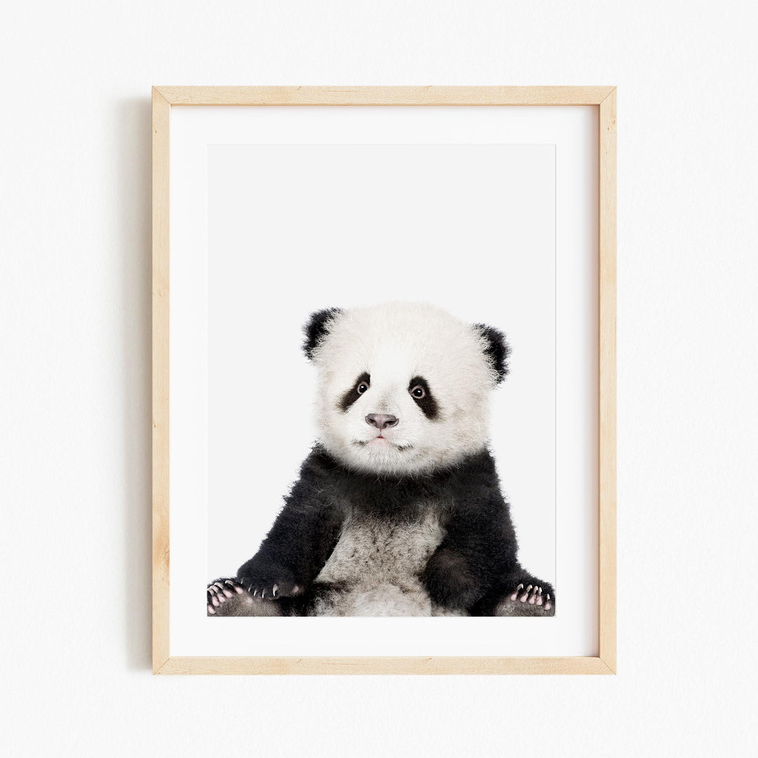 a panda bear sitting in front of a white wall
