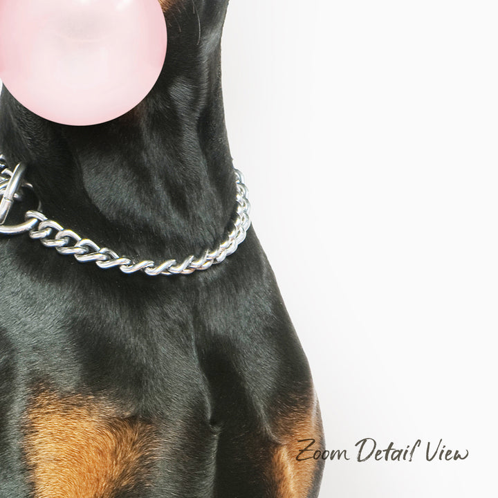 A close-up of a dog's neck and chest area, with a pink bubble gum bubble attached to its collar.