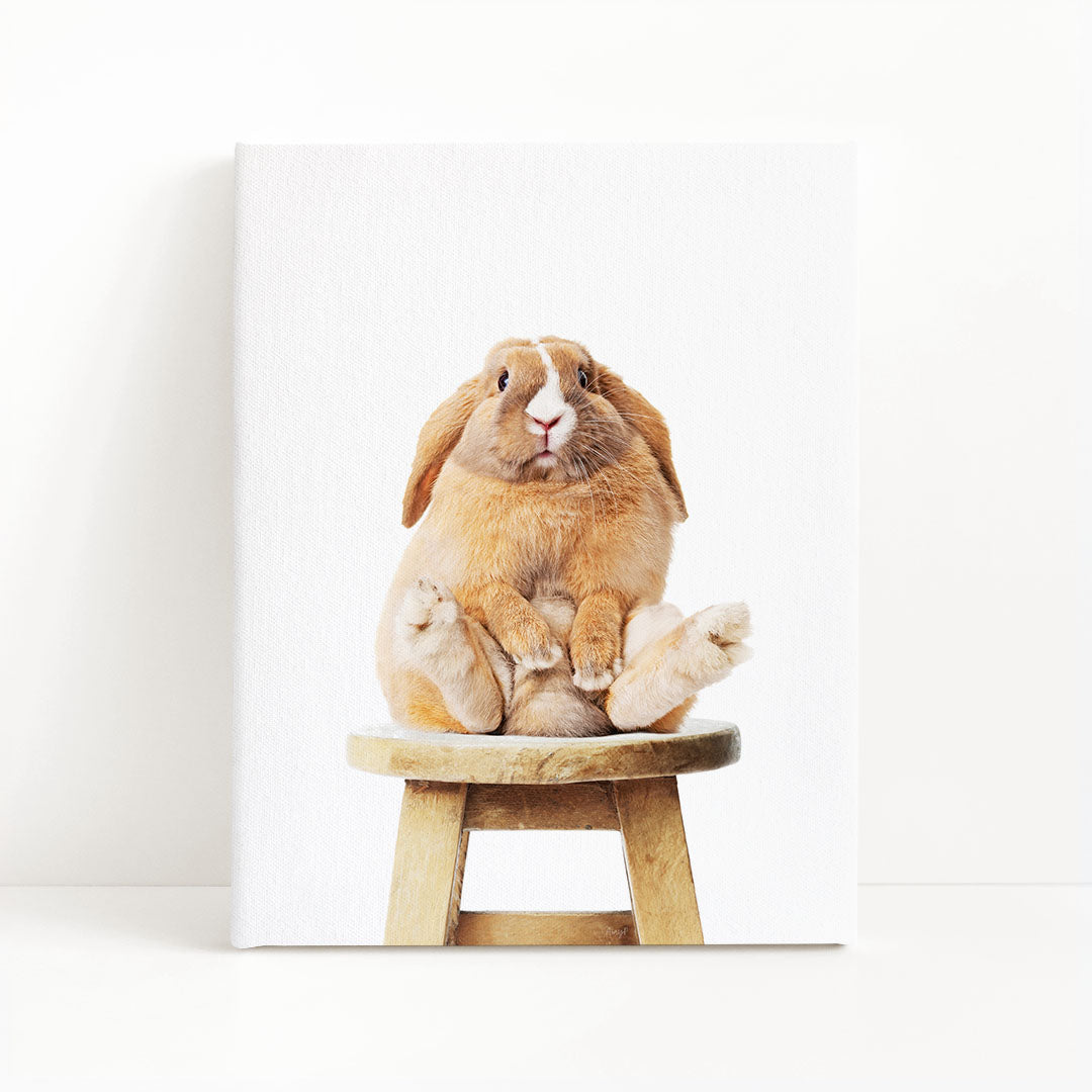 A brown rabbit sitting on a wooden stool against a white background.