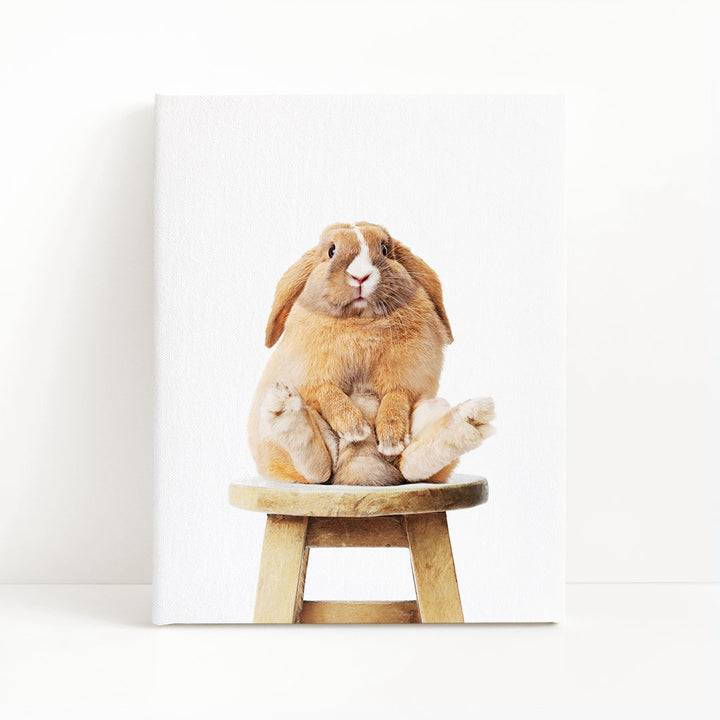 A brown rabbit sitting on a wooden stool against a white background.