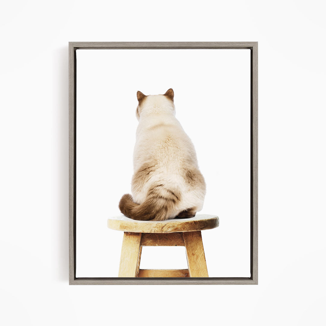 A white cat sitting on a wooden stool, facing away from the camera.
