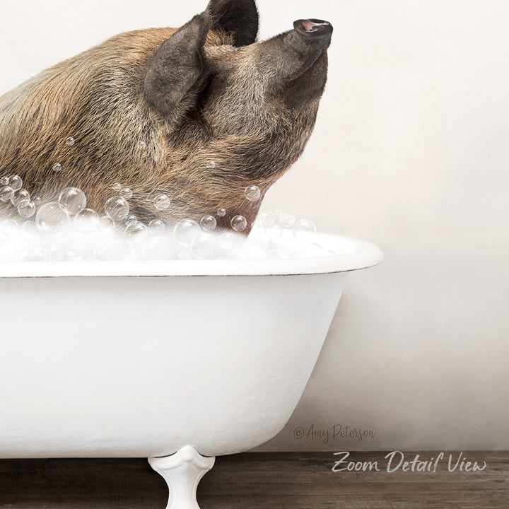 A pig is sitting in a white bathtub filled with bubbles, appearing to enjoy the bath.