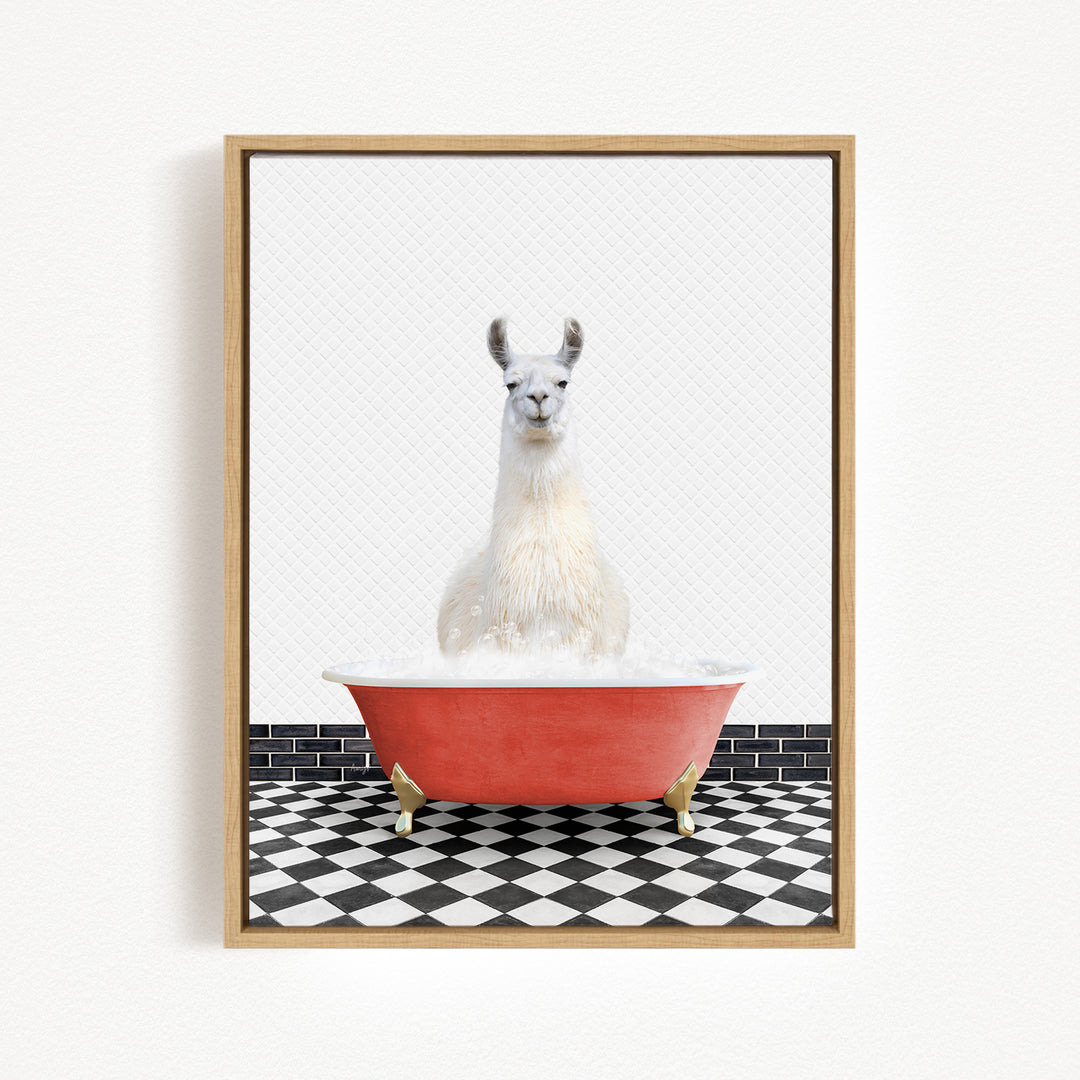A white llama sitting in a red bathtub filled with bubbles, with a black and white checkered floor in the background.
