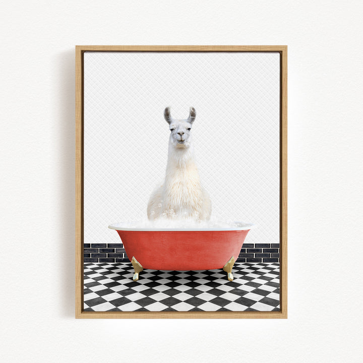 A white llama sitting in a red bathtub filled with bubbles, with a black and white checkered floor in the background.